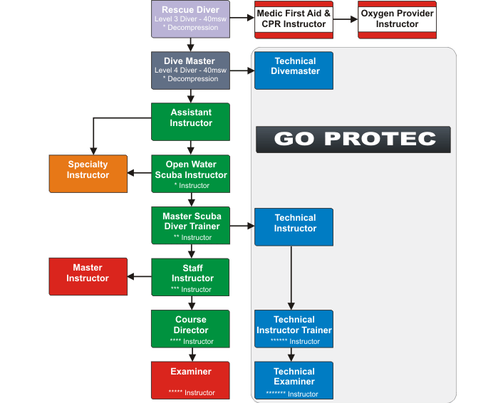 Professional Progression Chart