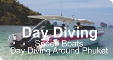 Day Trip Diving