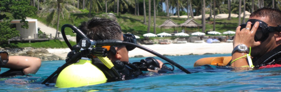 SDI Pro Courses