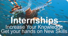 Internship's