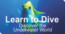 Learn to Dive